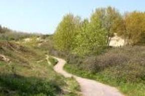 Protection de l'environnement : Au parc du vent à Dunkerque