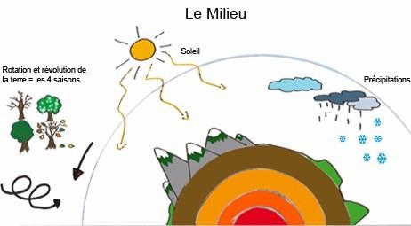 Spectacle pour enfants : L'écologie avec Sirouy le clown !!! ;o)